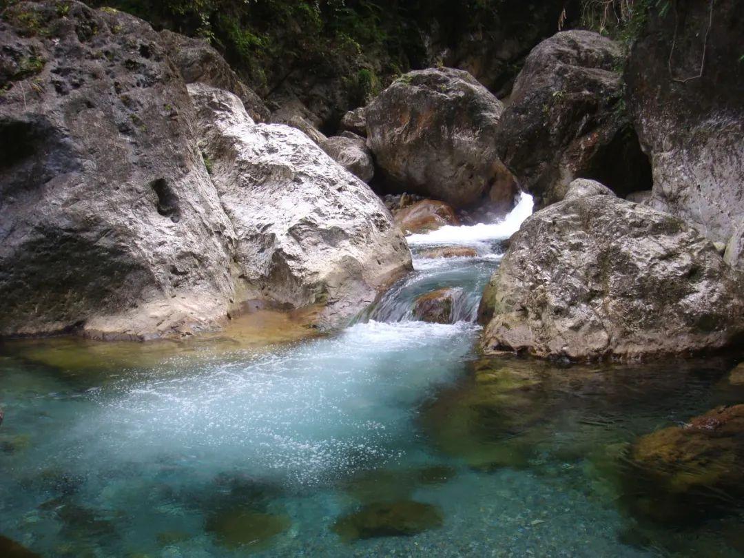 河北故城:村民巧手蒸花馍 金龙送福迎新春